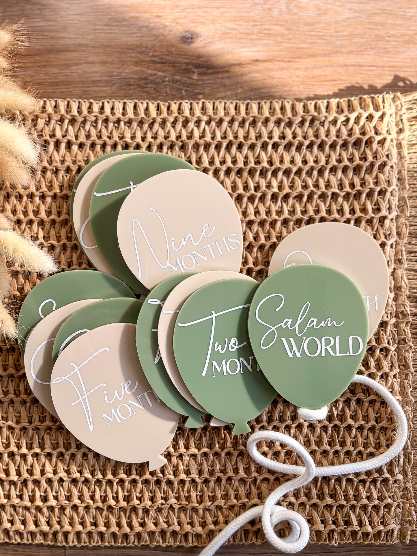 Baby Milestone Plaques - Balloons