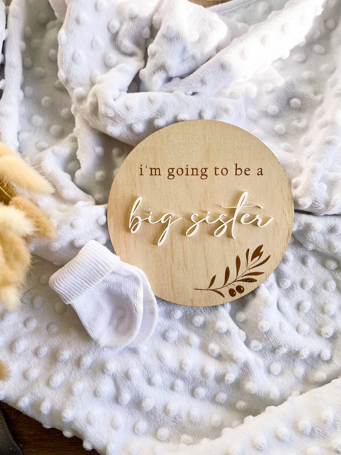 Announcement Plaque - Big Brother / Big Sister