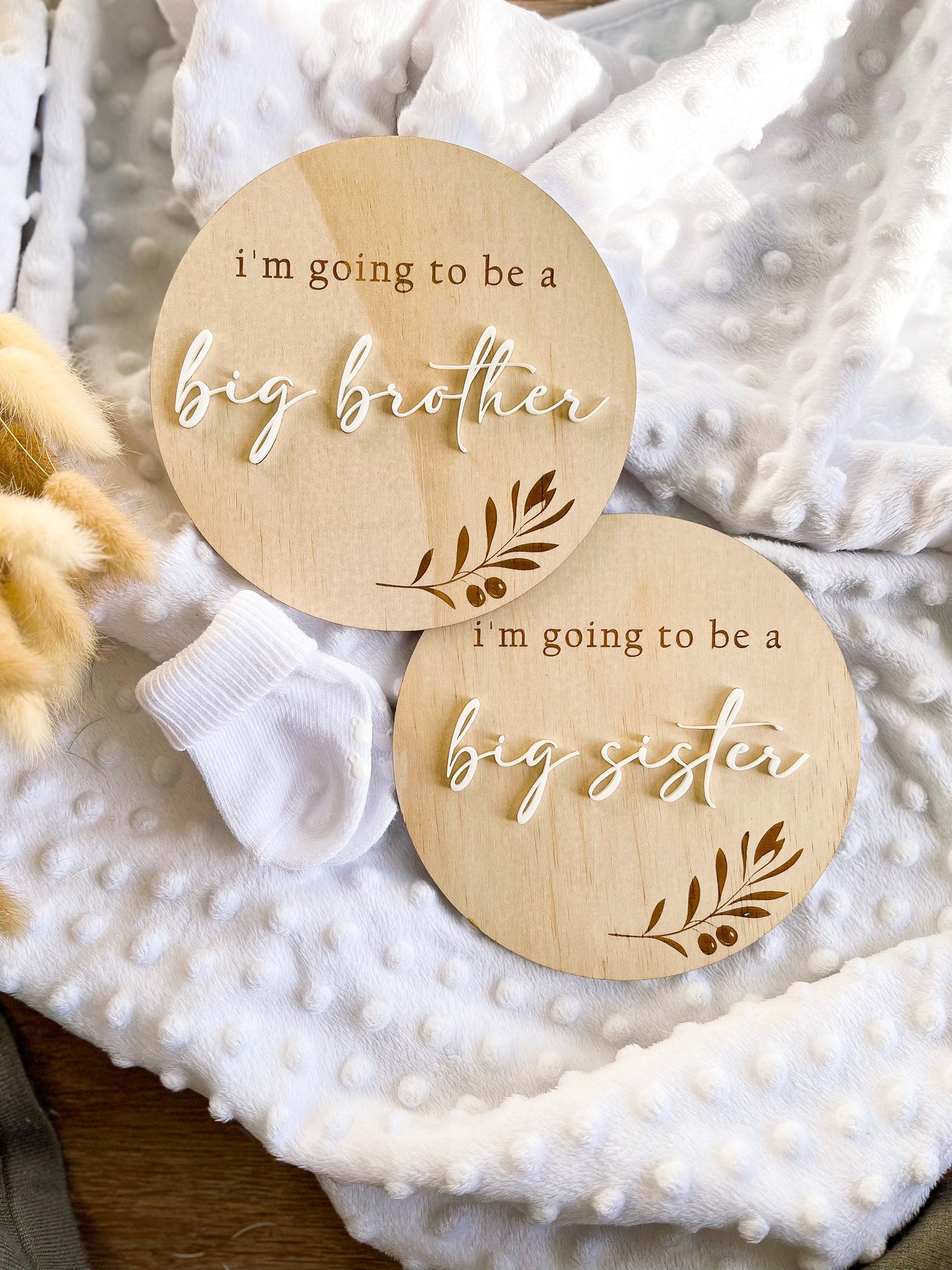 Announcement Plaque - Big Brother / Big Sister