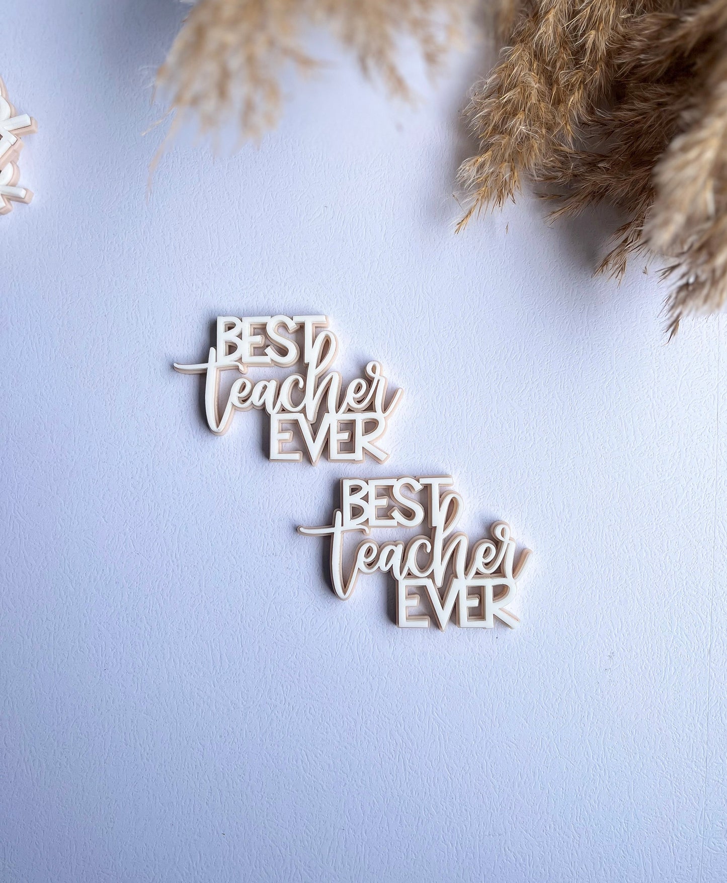 Best Teacher Ever - Cupcake Plaque